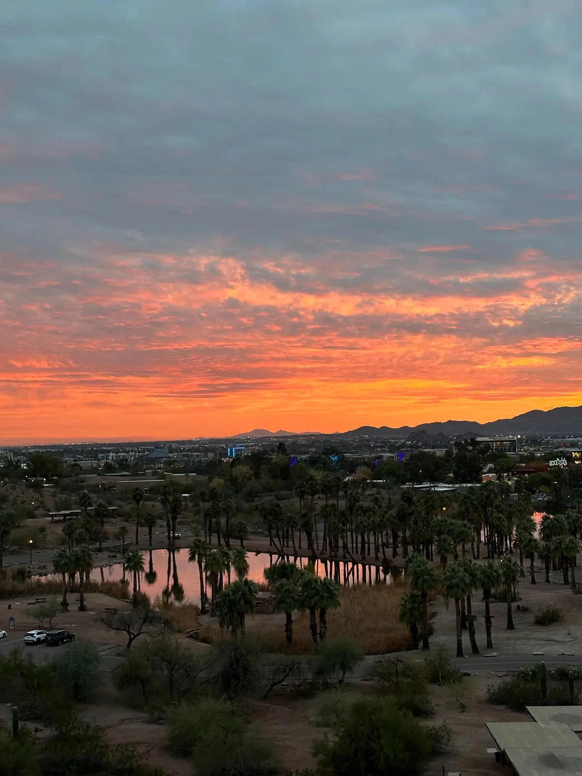 A vivid sunset above a desert oasis